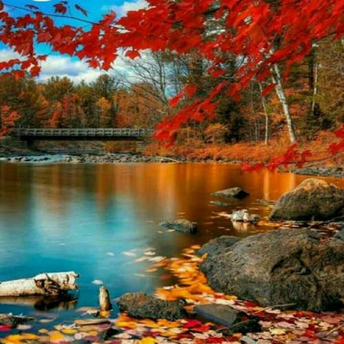فریده هیلال آکین یالنیزلیک سنفونیسی